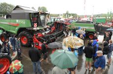 feldtag2015_19.jpg