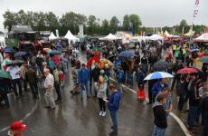 feldtag2015_31.jpg