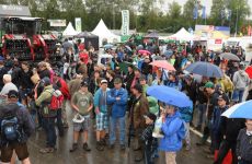 feldtag2015_32.jpg