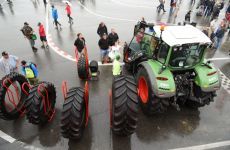 feldtag2015_16.jpg