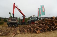 feldtag2015_36.jpg