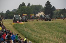 feldtag2015_53.jpg
