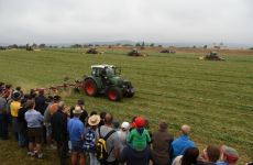 feldtag2015_55.jpg