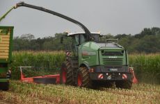 feldtag2015_24.jpg
