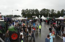 feldtag2015_17.jpg
